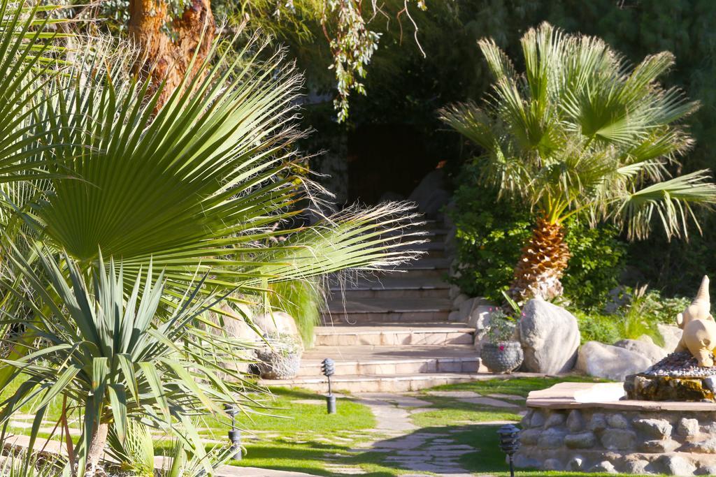 דזרט הוט ספרינגס Two Bunch Palms Resort & Spa - Adults Only מראה חיצוני תמונה